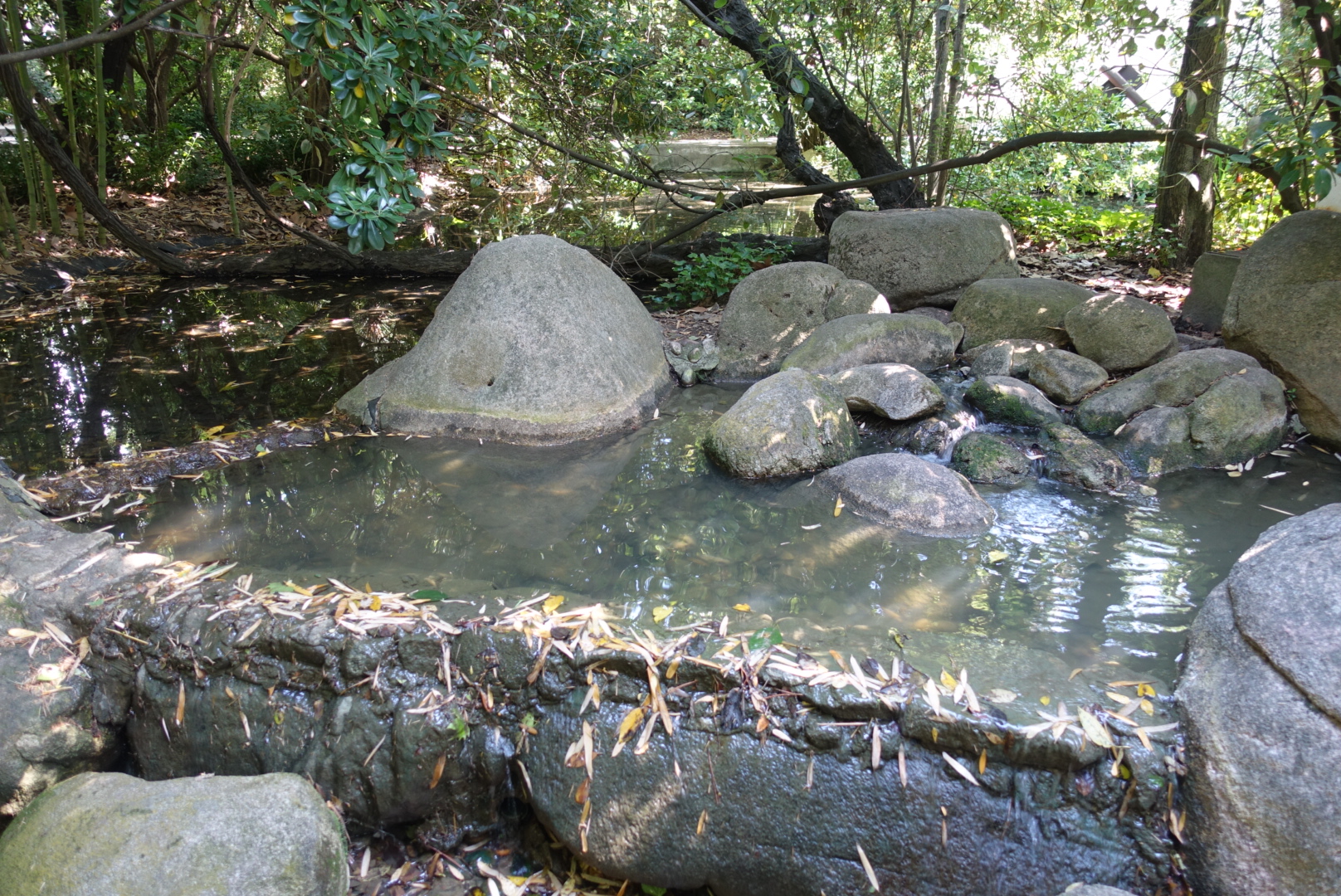 LRG_DSC08618