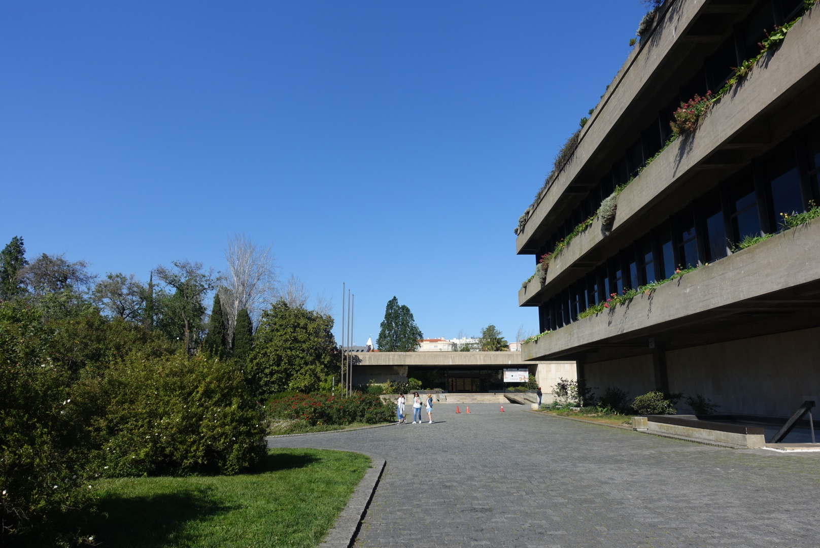 LRG_DSC08645