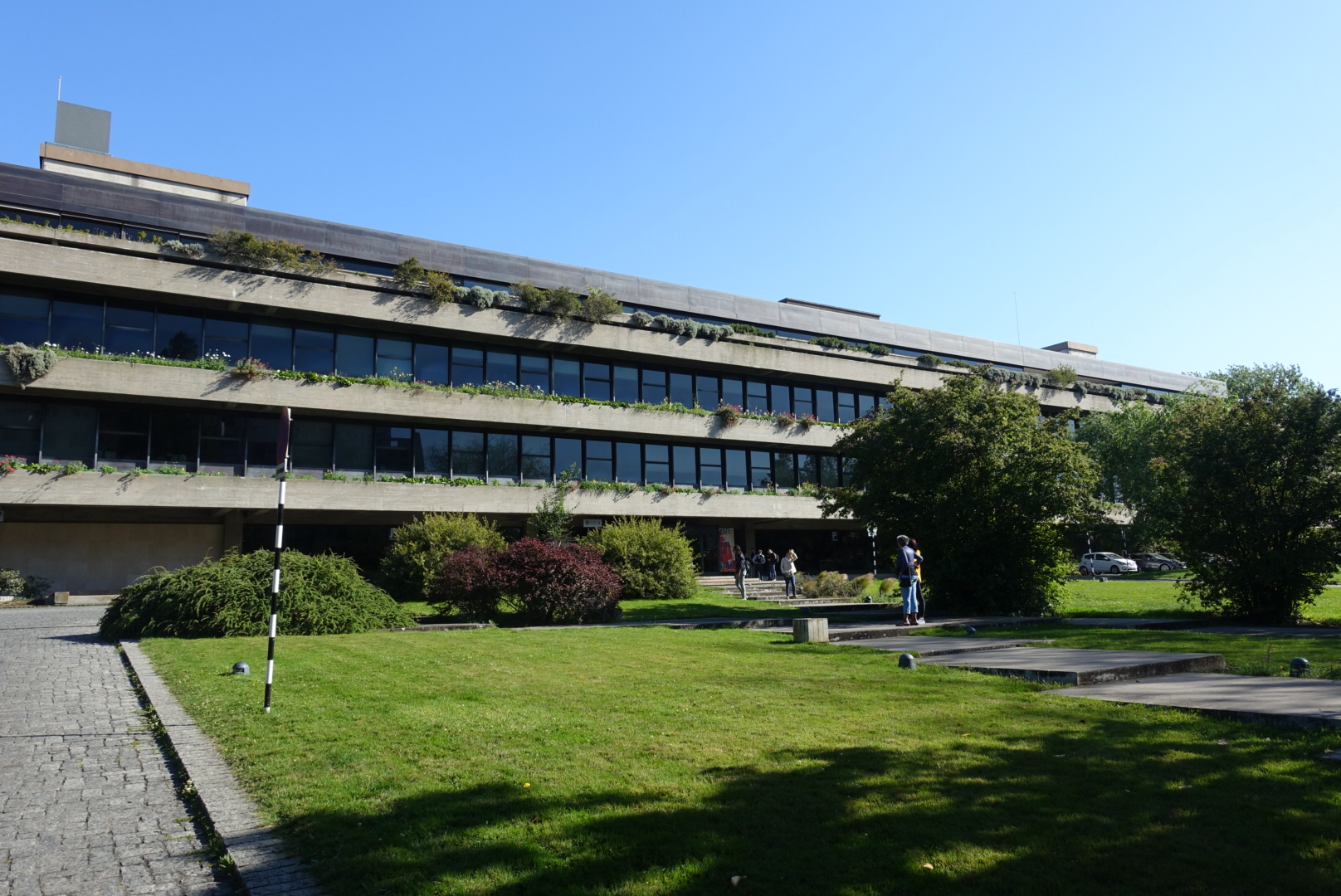 LRG_DSC08646
