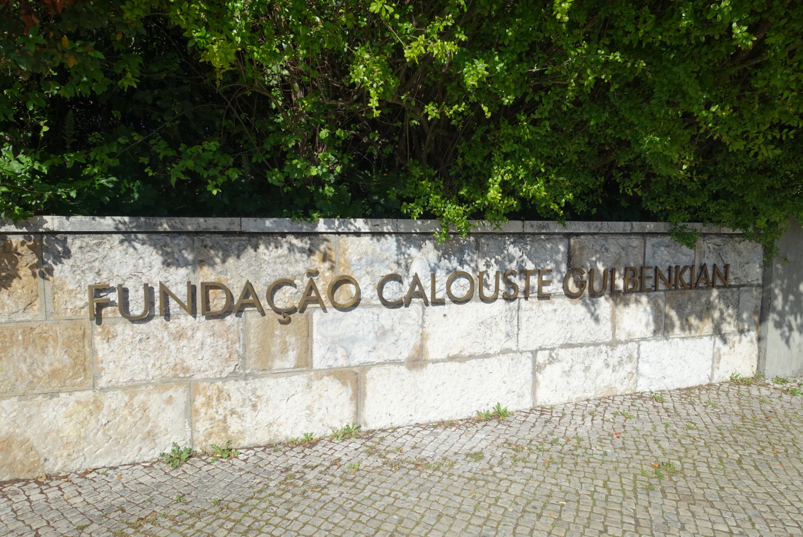 LRG_DSC08650